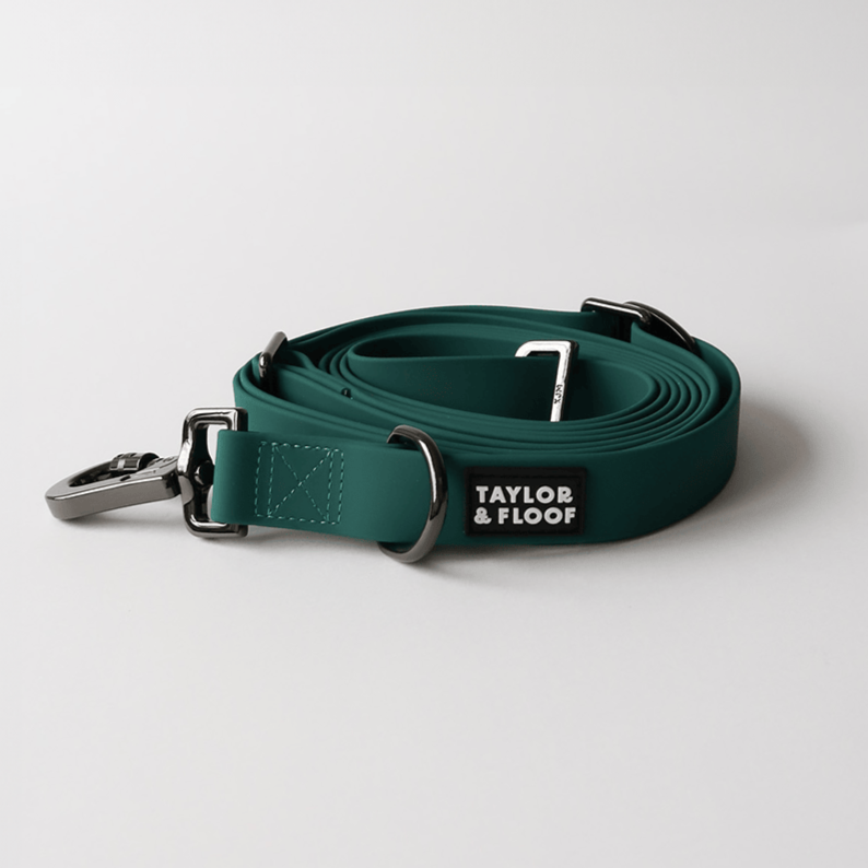 Close-up of a hands free dog lead with adjustable strap and buckle. Versatile hands free dog leash for training medium and large breeds.