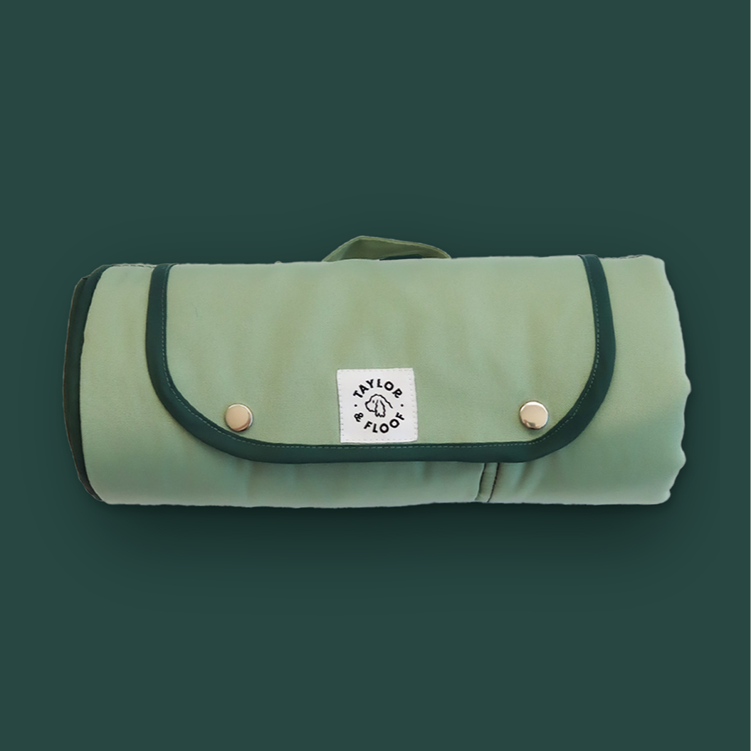 Soft sage green settle mat, perfect for training, crate use, and outings. 