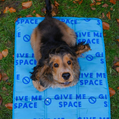 Assistance dog resting on the Give Me Space settle mat, showcasing its functional and blue design.