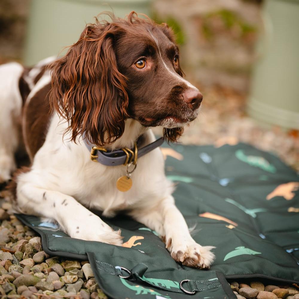 Settle mat dog training tool by Taylor and Floof. Dark green dinosaur travel mat for puppies and assistance dogs.