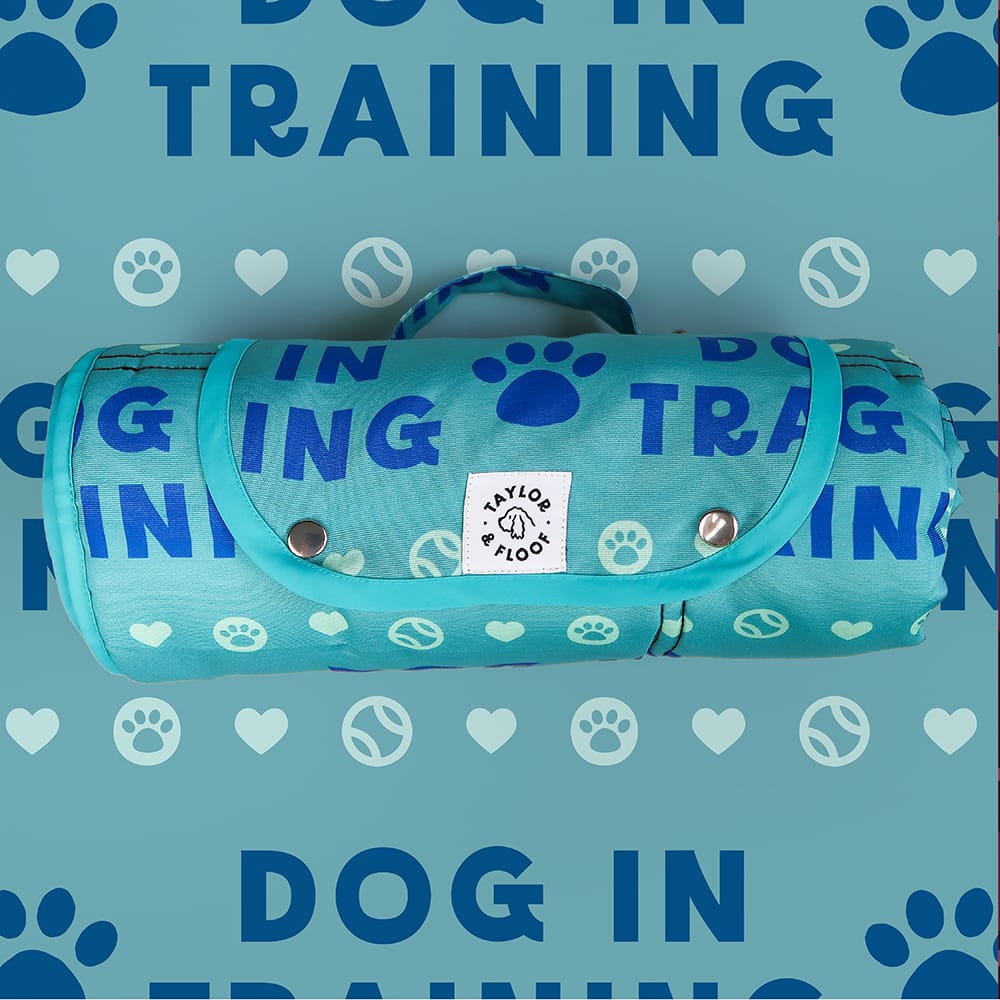 Taylor and Floof Dog in Training settle mat for dog training, designed for assistance dogs with a clear instructional design.