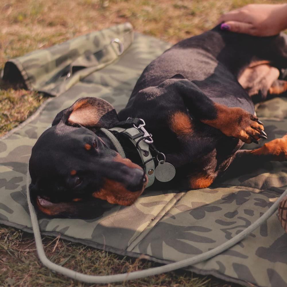 Puppy settle mat with camo print and dog designs, crafted for effective dog training sessions