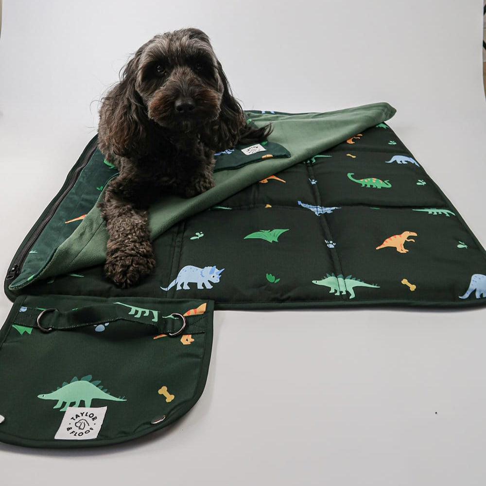 Burrow Beds for Dachshunds – Taylor and Floof Pitta Pocket settle mat in light green with blanket.