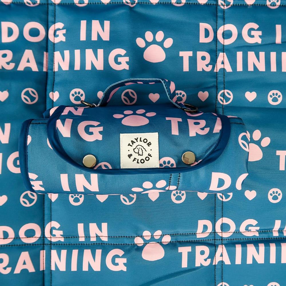 Non-slip Dog in Training settle mat with a stylish dark blue and pink design for puppies.