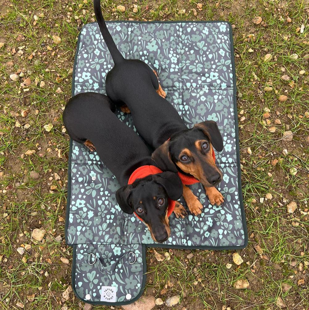 Evergreen settle mat with a beautiful dark green floral pattern, perfect for dog training and calming.