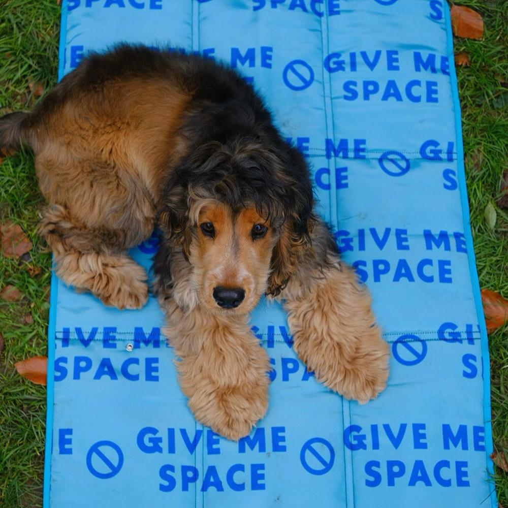 Spaniel lying on the Give Me Space settle mat, ideal for training reactive dogs and assistance dog handlers. Medium size settle mat, great size for spaniels. 