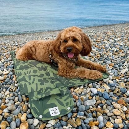 Cavapoo settling on Taylor and Floof settle mat designed for dog training and reactive dogs, jungle pup camo print.