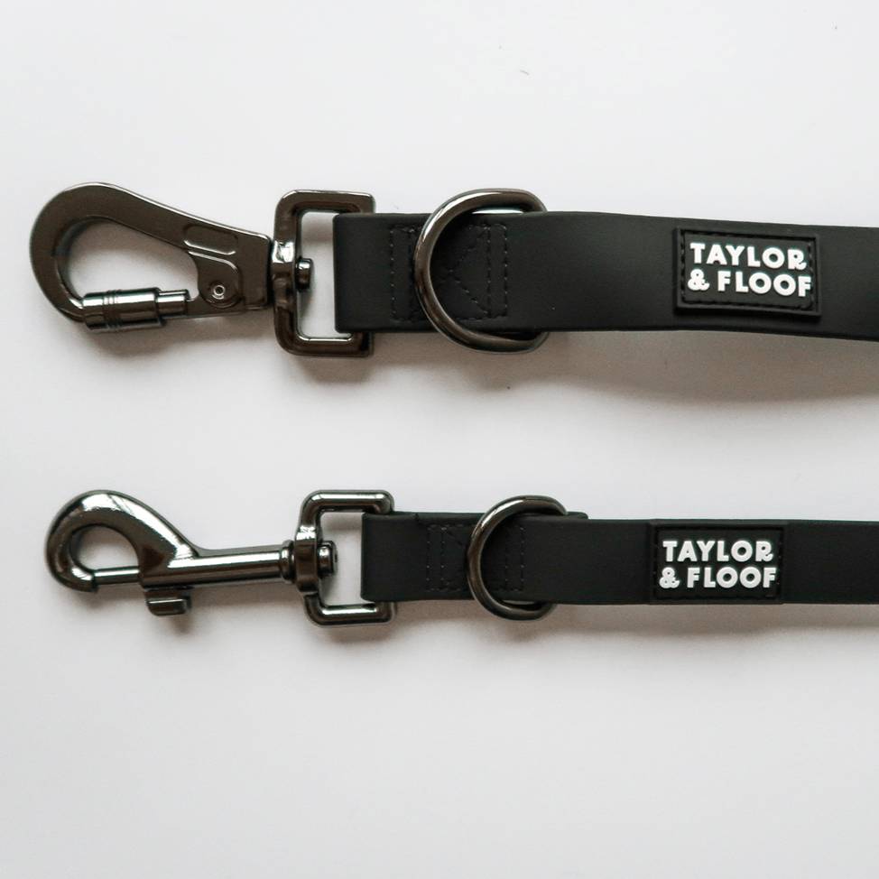 Close-up of a hands free dog lead with adjustable strap and buckle. Comes in two sizes. Small with a normal clasp and a large with a lockable clasp. 