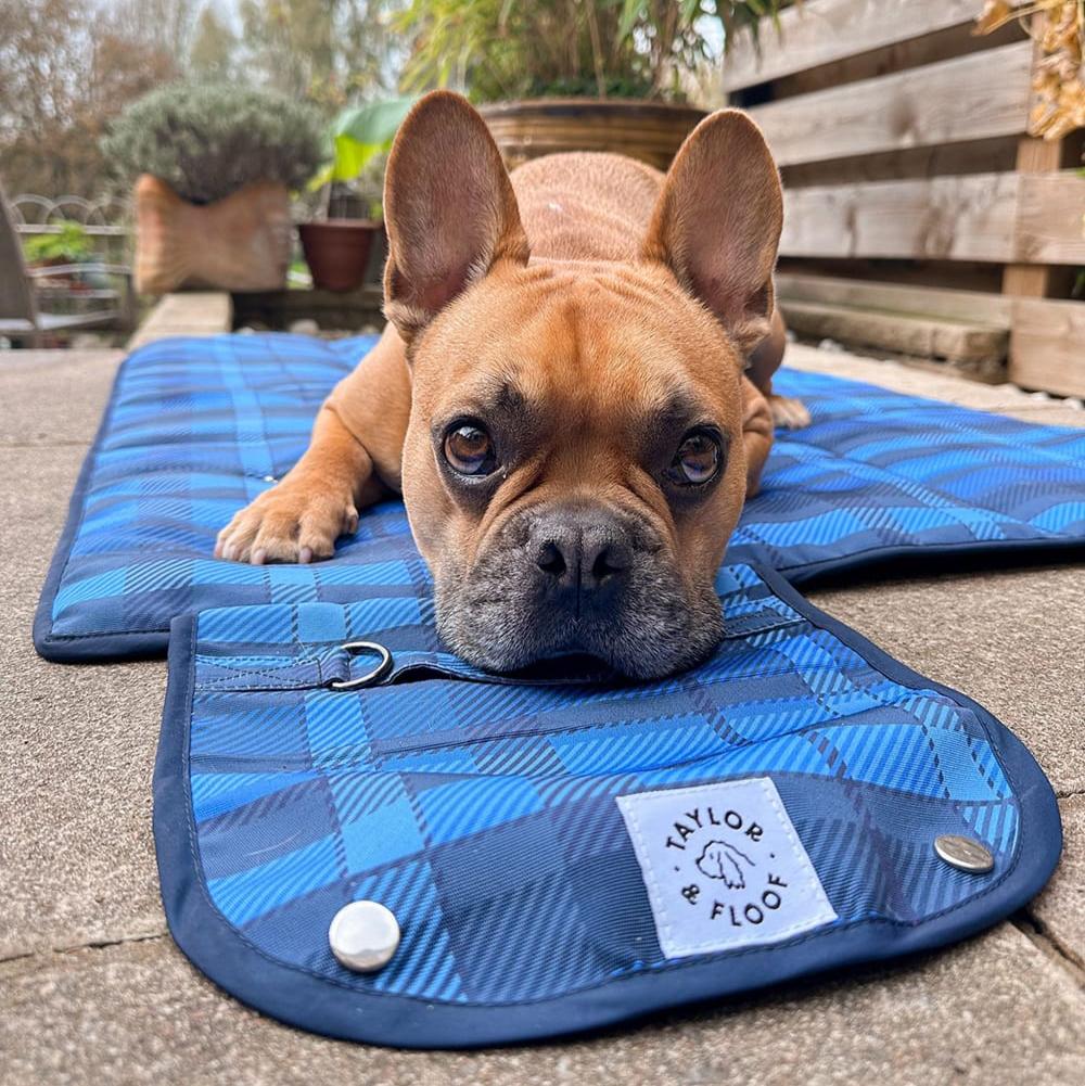 Taylor and Floof Highland Hound settle mat, perfect for assistance dog settle mat training needs.