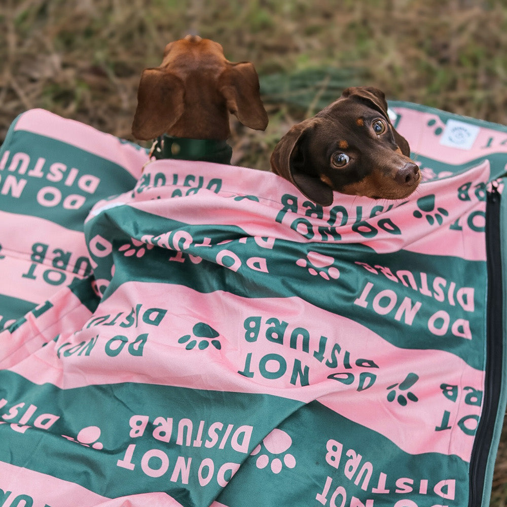 Non-slip Pitta Pocket mat with cozy blanket – perfect for fluffy dogs and puppies.