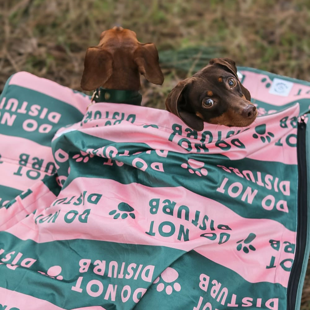 Portable Burrow Bed Dog – Taylor and Floof Pitta Pocket settle mat with removable blanket. In the Do not disturb pattern. 