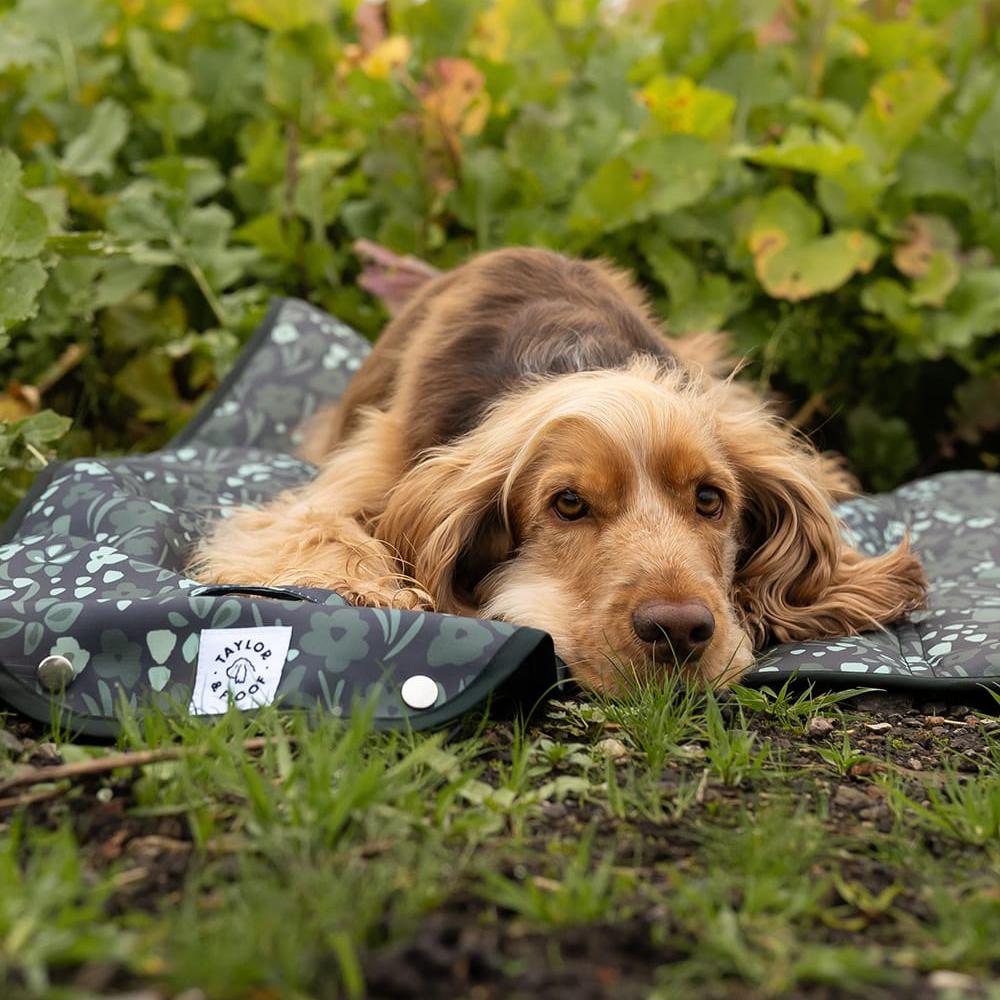 Dog settle mat by Taylor and Floof, Evergreen floral pattern designed for training and travel with your dog.