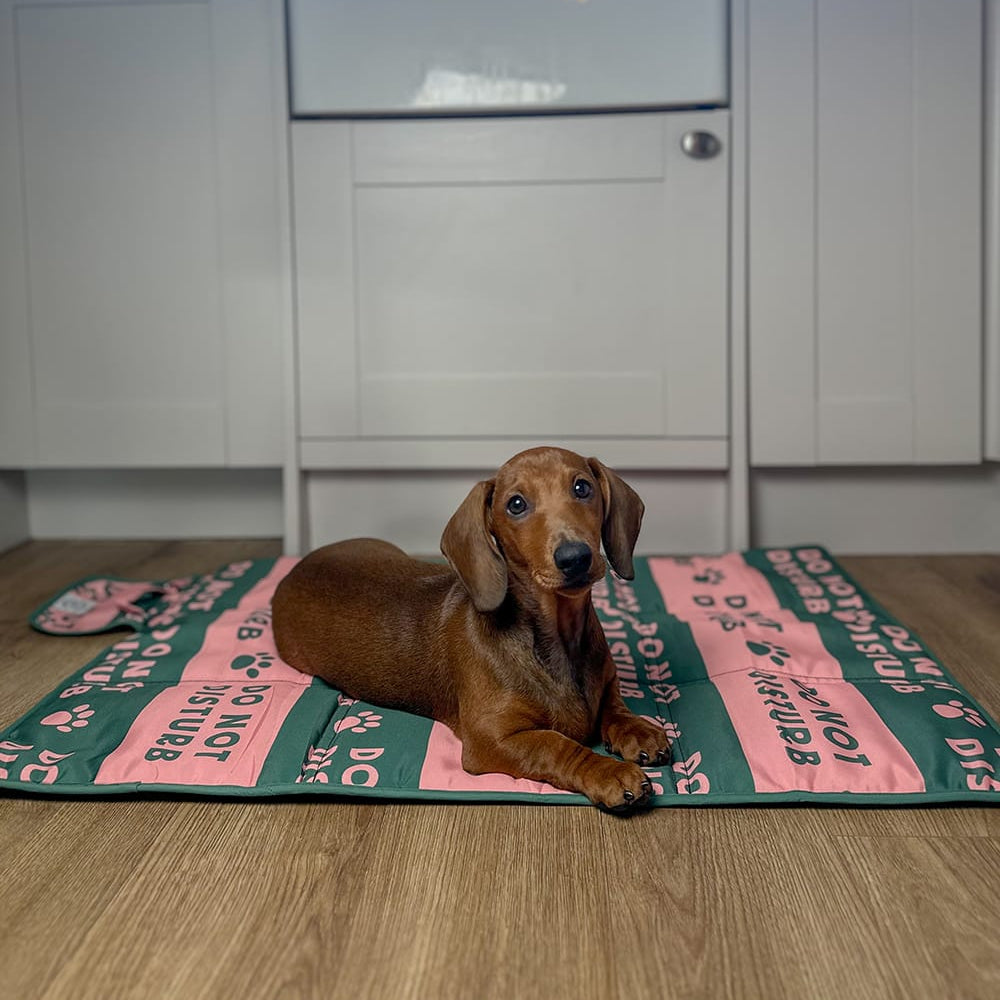 Sausage dog on a Taylor and Floof settle mat – UK-designed dog training mat