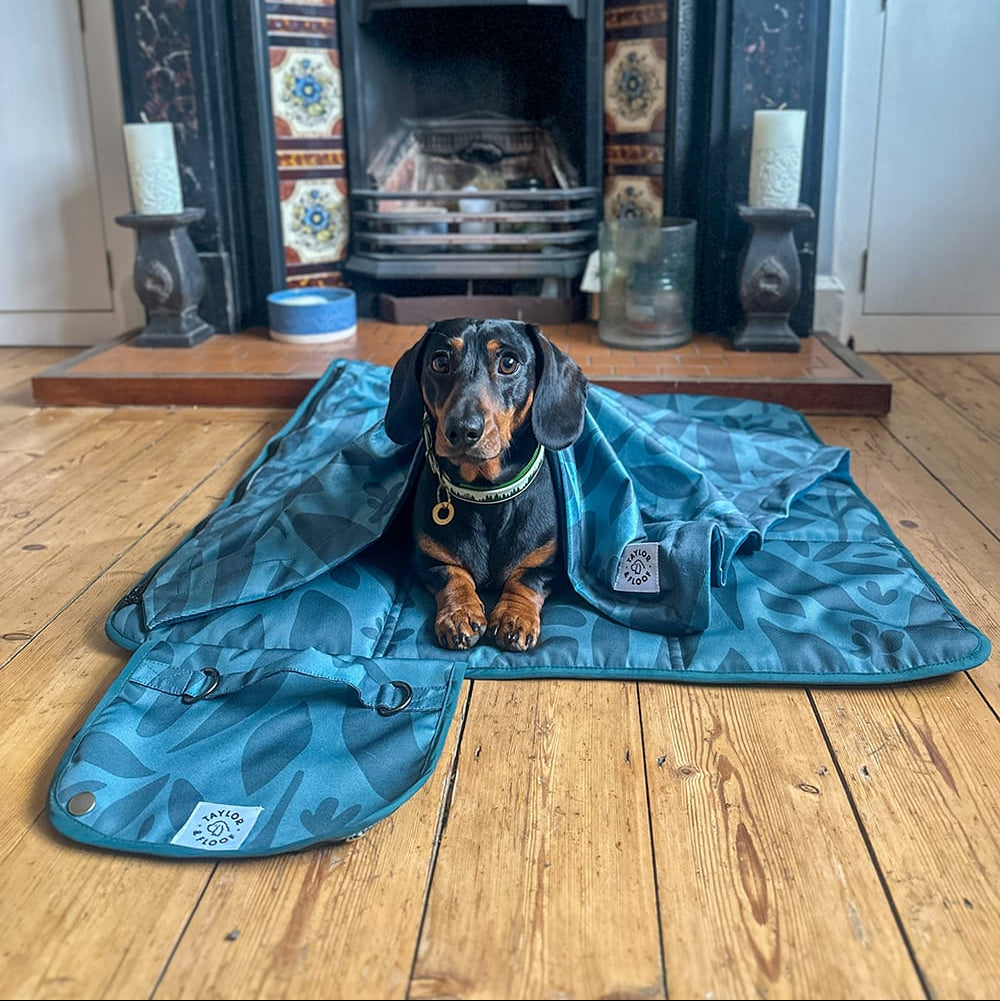 Burrow Beds for Dachshunds – Taylor and Floof Pitta Pocket settle mat in our Leaf Me Alone Design with blanket.