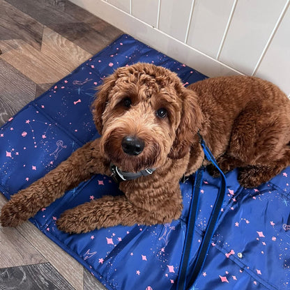 Assistance dog training mat in Canine Cosmos print by Taylor and Floof, perfect for settling skills and puppy training.