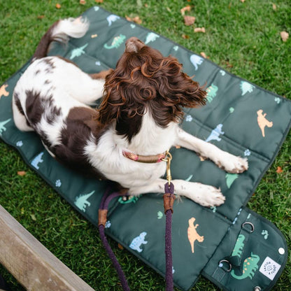 Jurassic Bark settle mat for dog training. Dark green Taylor and Floof mat with dinosaur illustrations.