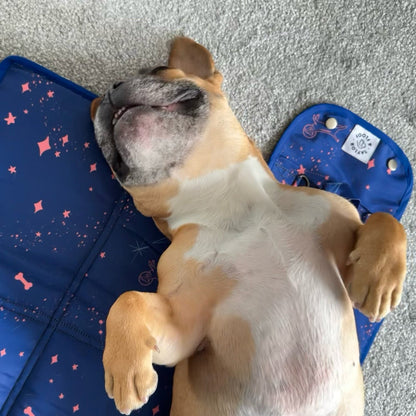 Dog settle mat for training, featuring the Taylor and Floof Canine Cosmos print with stars and astronaut dogs.