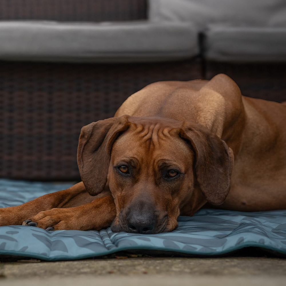 Dog training settle mat in UK with stylish dark teal Leaf Me Alone design. 
