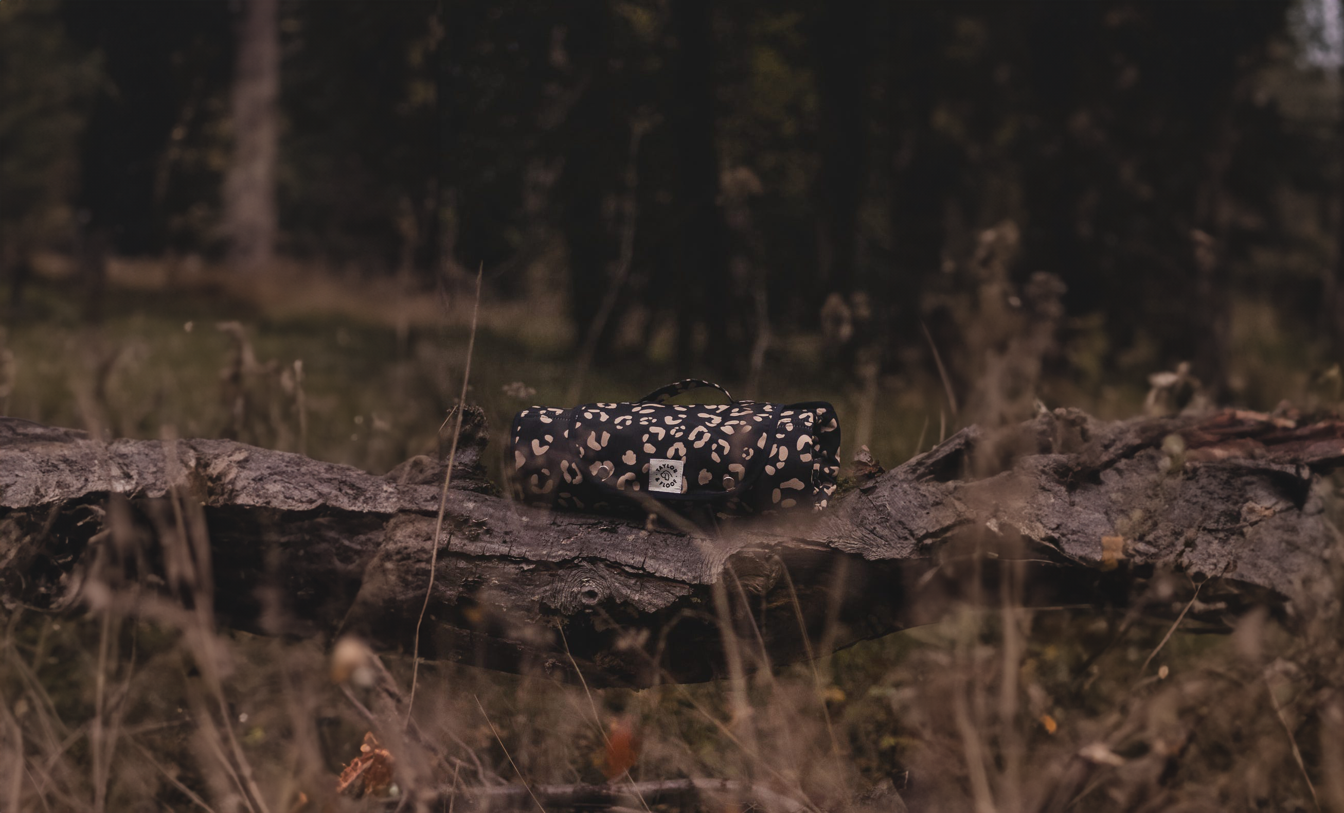 Taylor & Floof Wild Child settle mat with a bold leopard print design, ideal for calming and training dogs. Photo taken of the mat rolled up in a park.